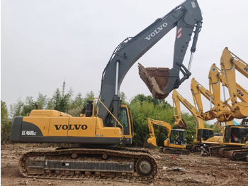 Pelle sur chenille VOLVO EC460BLC