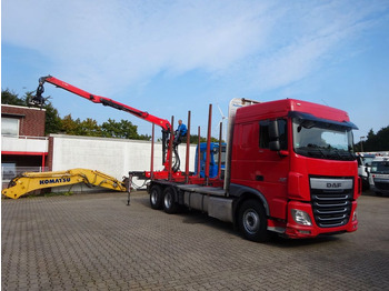 Camion grumier, Camion grue DAF XF 510 + EPSILON M120Z Holzheckladekran +Greifer: photos 2