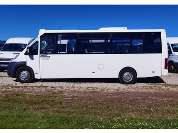 Minibus, Transport de personnes Fiat Ducato miejski, przewóz osób niepełnosprawnych: photos 5