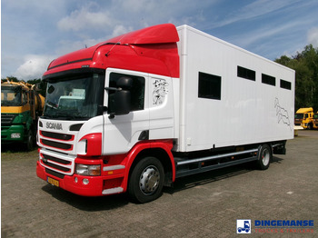 Camion chevaux SCANIA P 280