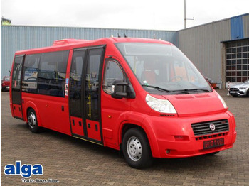 Minibus FIAT Ducato