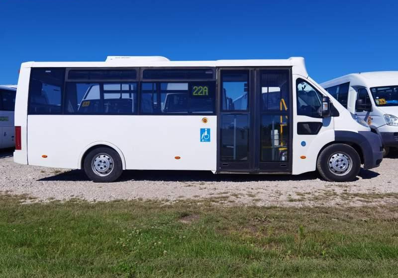 Minibus, Transport de personnes Fiat Ducato miejski, przewóz osób niepełnosprawnych: photos 6